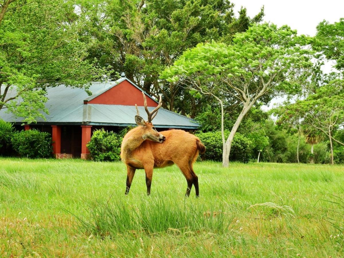 Estancia Iberá Colonia Carlos Pellegrini  Exterior foto